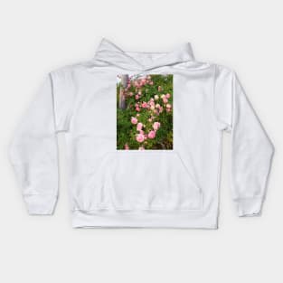 Dorothy Perkins Vintage Rambling Pink Rose Photo Kids Hoodie